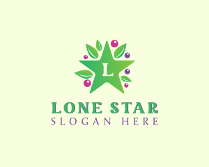 Nature Star Berry logo design