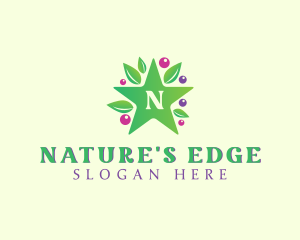 Nature Star Berry logo design