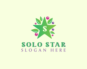 Nature Star Berry logo design