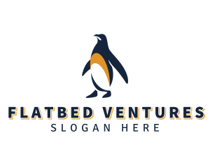 Penguin Bird Animal logo design