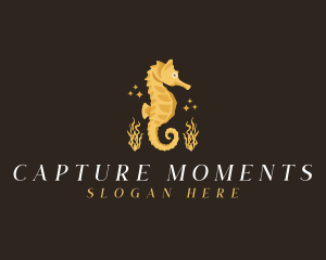 Seahorse Aquarium Animal logo