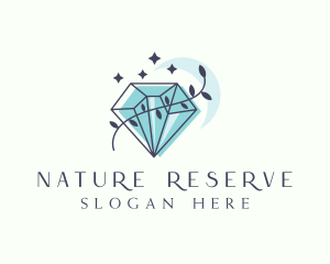 Natural Moon Crystal logo design