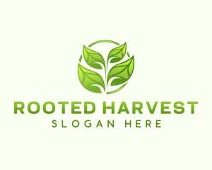 Natural Gardening Leaf logo design