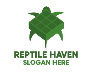 Green Turtle Cube logo design