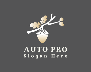 Elegant Oak Acorn branch logo