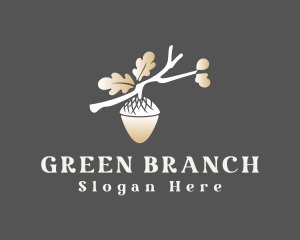 Nature Acorn Branch logo design