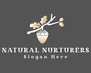 Nature Acorn Branch logo design