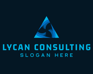 Triangle Business Firm  logo design