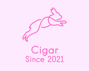 Pink Bunny Rabbit logo design