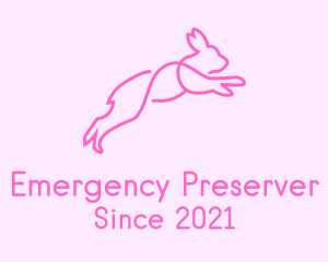 Pink Bunny Rabbit logo design