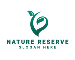 Natural Organic Leaf logo design