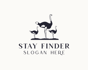 Wild Ostrich Bird logo