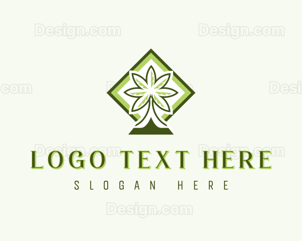 Tropical Coconut Tree Logo