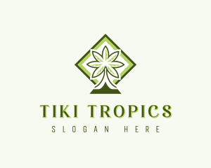 Tropical Coconut Tree logo design