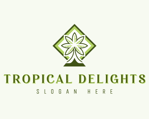 Tropical Coconut Tree logo design