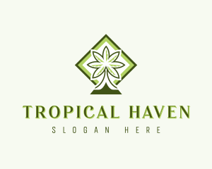 Tropical Coconut Tree logo design