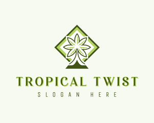 Tropical Coconut Tree logo design