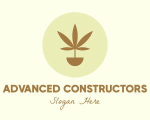 Cannabis Marijuana Plant logo design