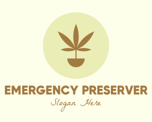 Cannabis Marijuana Plant logo design