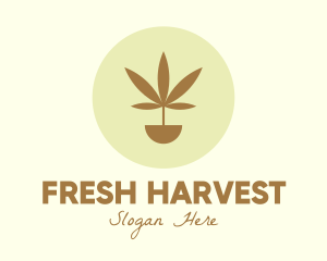 Cannabis Marijuana Plant logo design