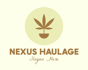 Cannabis Marijuana Plant logo design