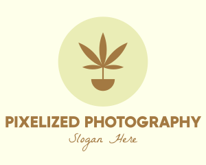 Cannabis Marijuana Plant logo design