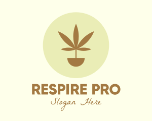 Cannabis Marijuana Plant logo design