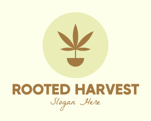 Cannabis Marijuana Plant logo design