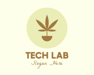 Cannabis Marijuana Plant logo design