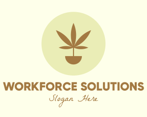 Cannabis Marijuana Plant logo design