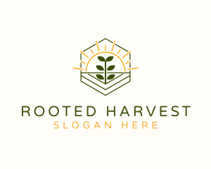 Farm Plant Sunrise logo design