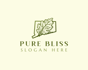 Connecticut White Oak Leaf logo design