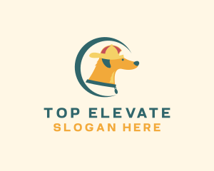 Cool Dog Pet Shop  logo design