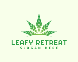 Organic Cannabis Leaf logo design