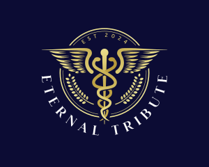 Medical Health Caduceus  Logo