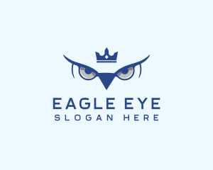 Royal Eagle Eye logo design