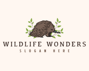 Echidna Anteater Wildlife logo design