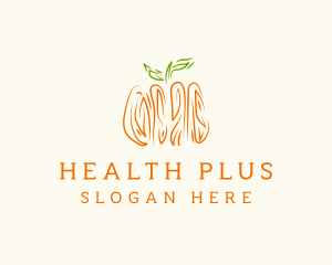 Pumpkin Vegetable Drawing Logo