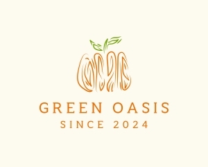 Pumpkin Vegetable Drawing logo design