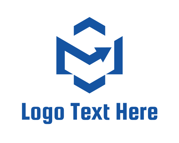 Blue Hexagon logo example 2