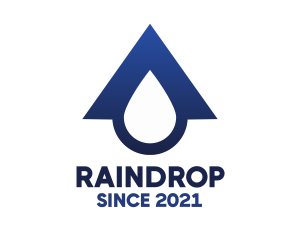 Blue Roof Drop logo