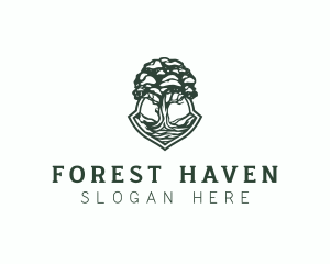 Hill Tree Forest  logo design