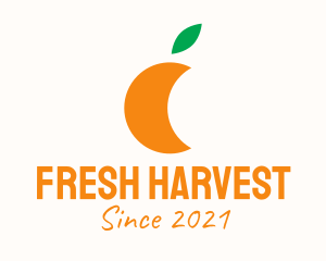 Orange Juice Fruit logo design