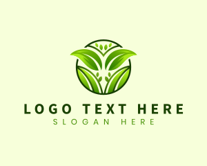 Eco Leaves Nature logo