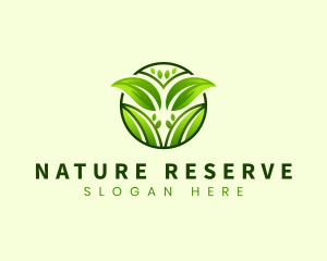 Eco Leaves Nature logo design