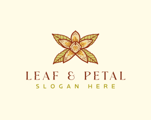 Vanilla Botanical Leaf logo