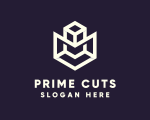 Modern Geometric Cube logo design