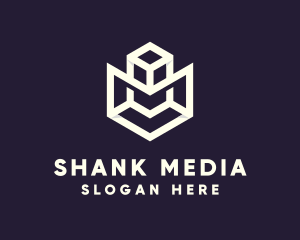 Modern Geometric Cube logo design