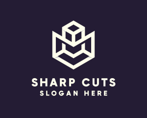 Modern Geometric Cube logo design