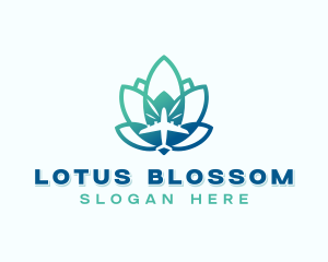 Lotus Plane Aviation logo design